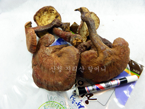 지리산 야생 영지버섯 최상품(300g).