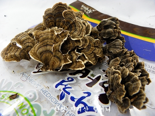 지리산 야생 운지버섯(200g)건조