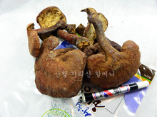 지리산 야생 영지버섯 최상품(300g).