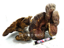 지리산 야생 영지버섯 특상품(500g)