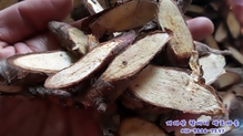 소나무뿌리(고산지대 토종 솔뿌리,동송근500g)절편건조
